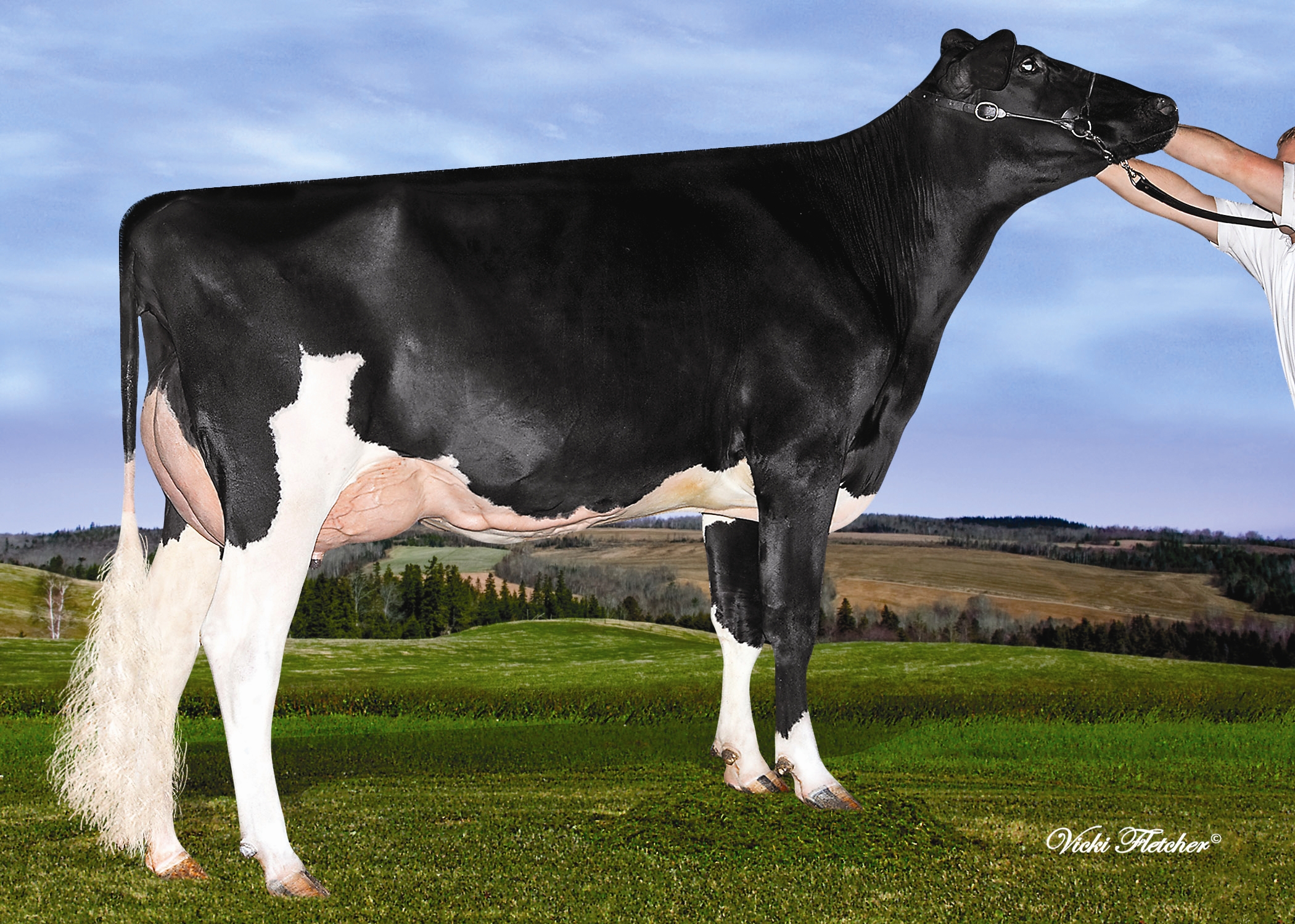Lindenright Bradnick Moovin On VG-87-2YR-CAN