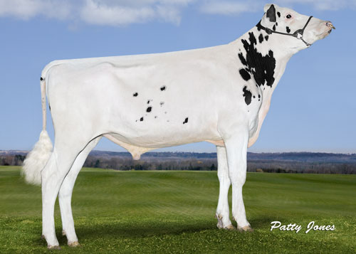 Red E J MyMemorial0216