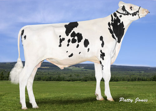 StantonsExpander0216