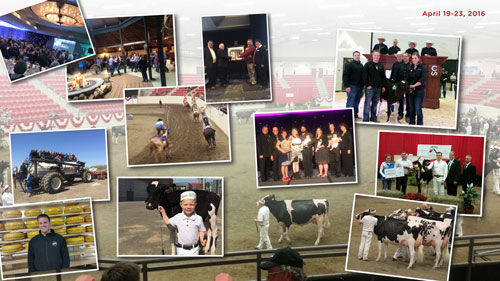 convention collage2016