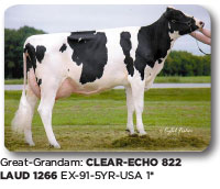 CLEAR ECHO 822 LAUD 1266