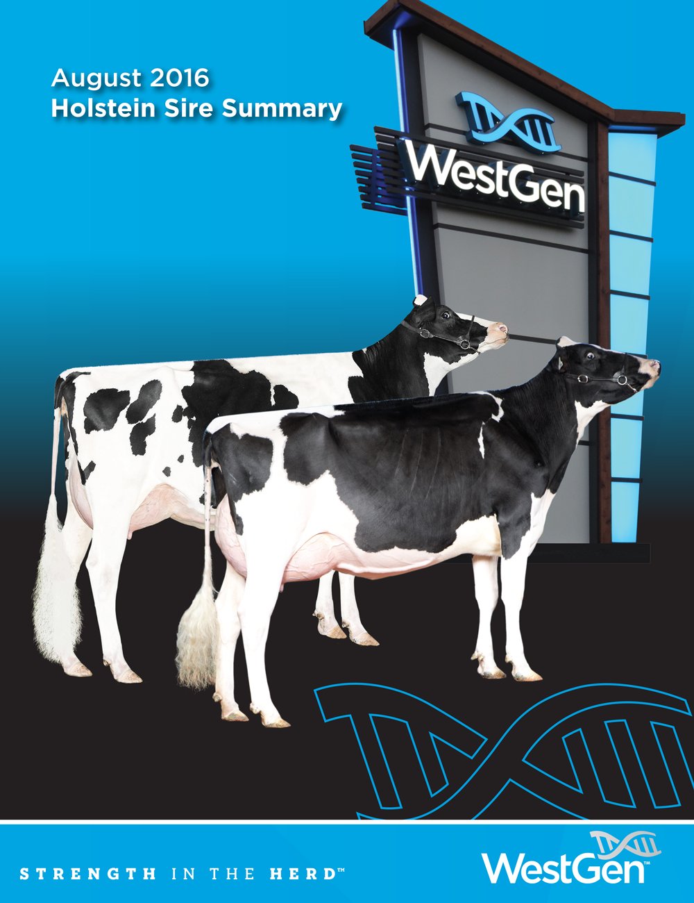 HOLSTEIN COVER