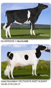 SilverridgeVAllclass