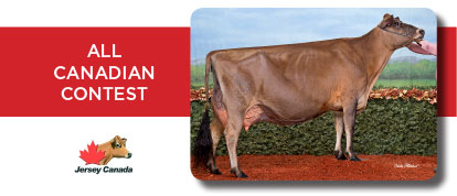 all canadian contest 2017