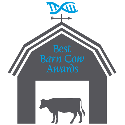 best barn cow awards