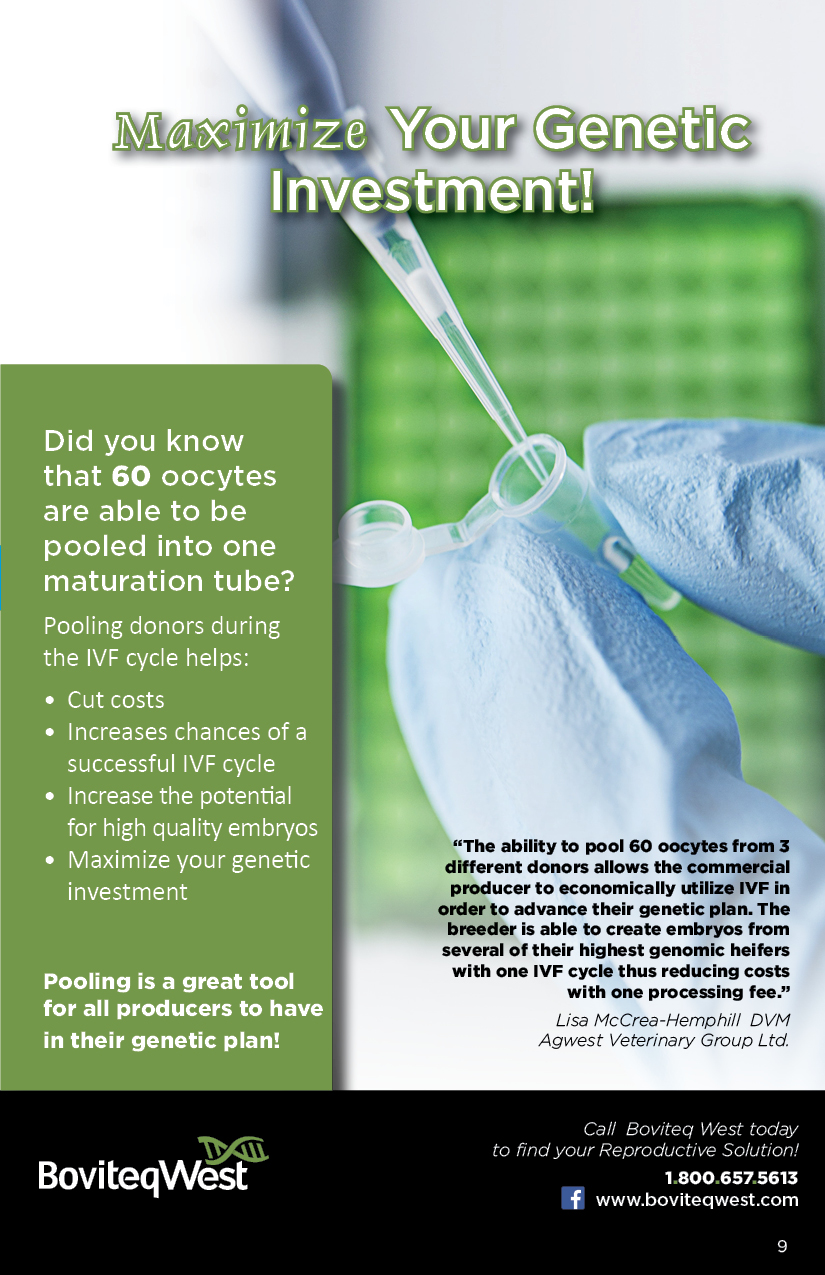 Boviteq West Maximize Genetic Investment Boviteq West Maximize Genetic Investment