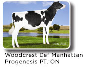 Woodcrest-Def-Manhattan Woodcrest-Def-Manhattan