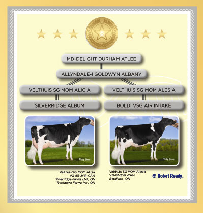 stars-graduate stars-graduate