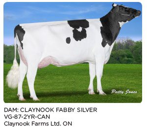 claynook-fabby-silver