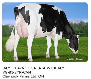 claynook-reata-wickham