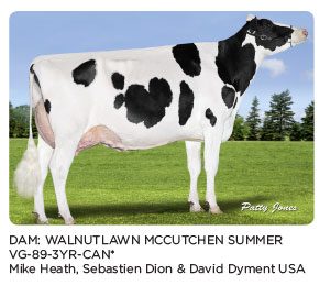 walnutlawn-mccutchen-summer