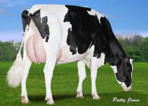 ClaynookReataWickham