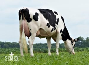 ClerindaOneDirectionTunesie0717WRKa