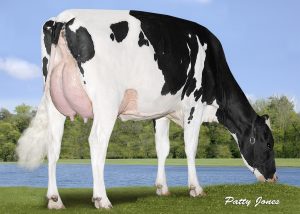 ErbcrestLinemanBrynne34GRZ0617