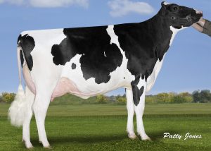 MapelwoodCGainLottoP