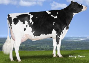 ProgenesisEnforcerPat0217