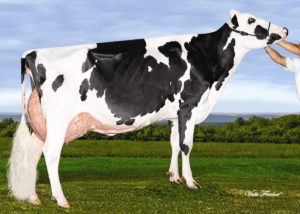 Desnette Laynie IMPRESSION